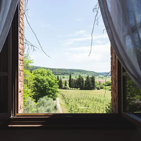 Buoninsegna Farm stay *