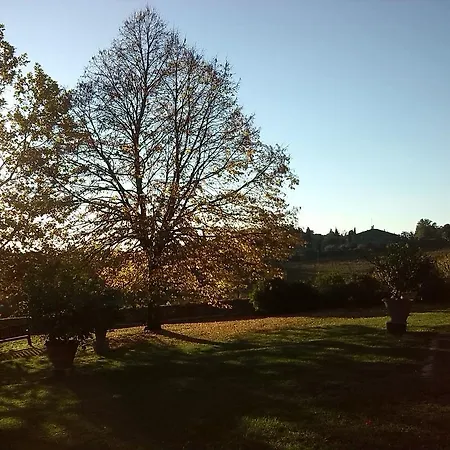 Farm stay Buoninsegna *