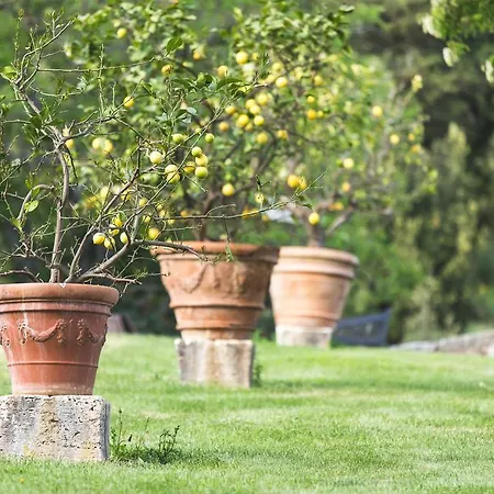 Buoninsegna Rapolano Terme