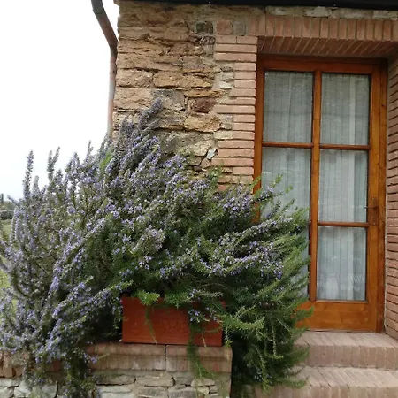 Farm stay Buoninsegna Rapolano Terme
