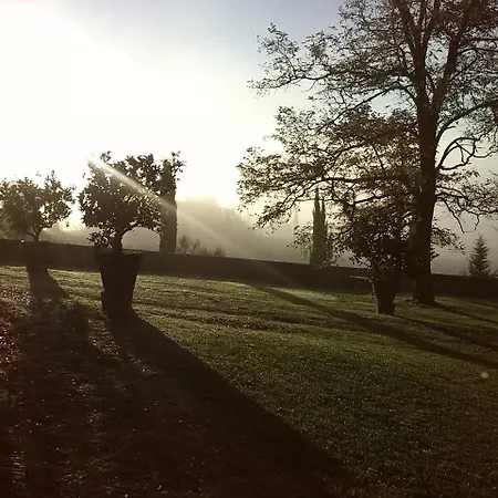 Buoninsegna *